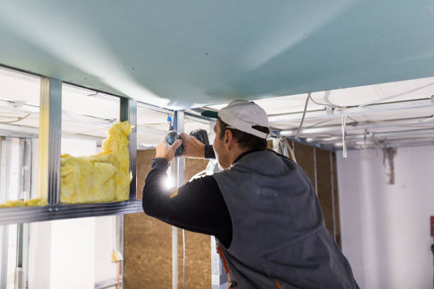 Best Insulation Maintenance and Repair in Townsend, MT