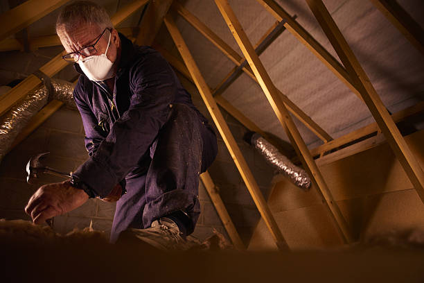 Best Geographic-Specific Insulation Services in Townsend, MT